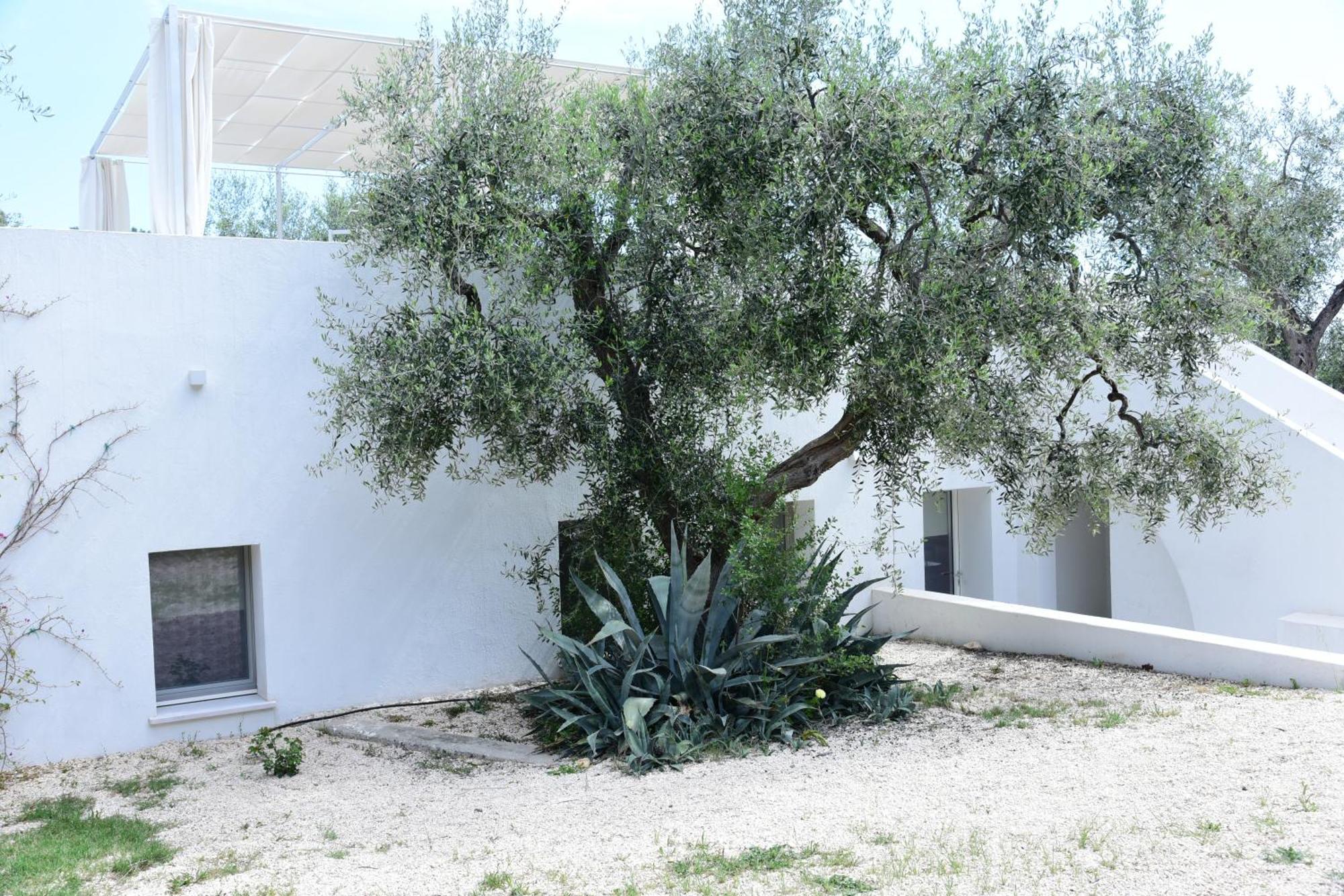 Hmo Glamping & Suites In Vignanotica Mattinata Habitación foto