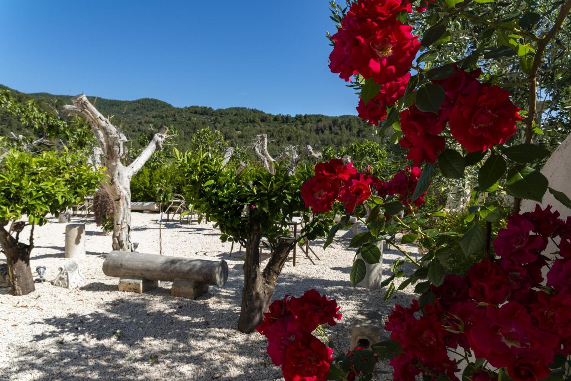 Hmo Glamping & Suites In Vignanotica Mattinata Exterior foto